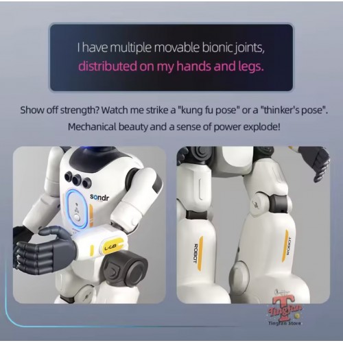 R40 Intelligent RC Robot Toy – Smart Dancing Remote Control Robot for Kids with Lights & Music